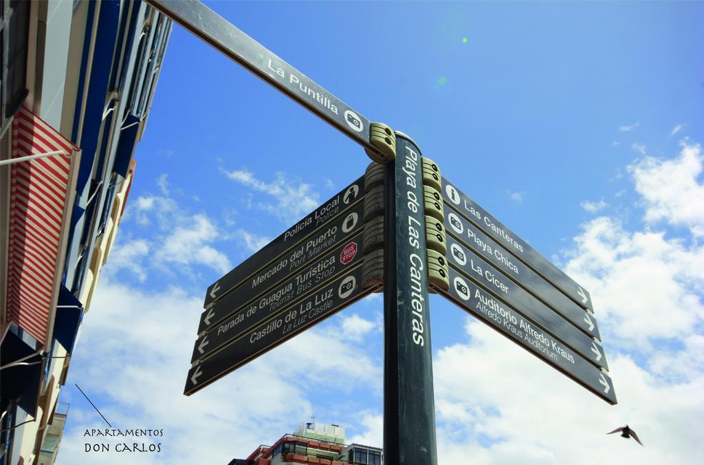 Apartamentos Don Carlos 大加那利岛拉斯帕尔马斯 外观 照片